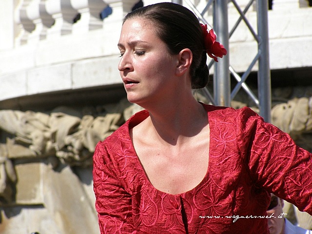 flamenco tänzerin rotes kleid